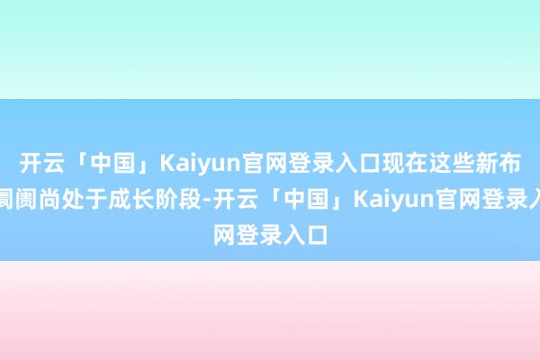 开云「中国」Kaiyun官网登录入口现在这些新布局阛阓尚处于成长阶段-开云「中国」Kaiyun官网登录入口