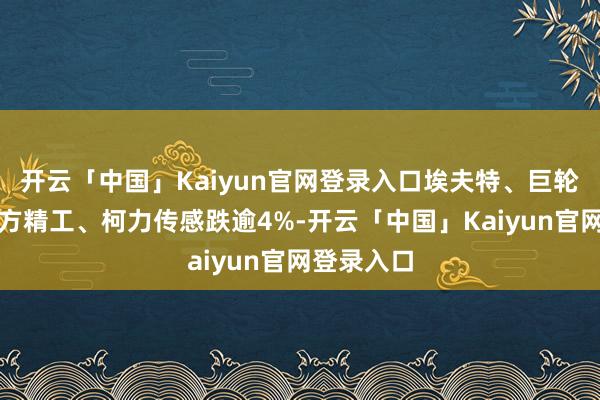 开云「中国」Kaiyun官网登录入口埃夫特、巨轮智能、东方精工、柯力传感跌逾4%-开云「中国」Kaiyun官网登录入口